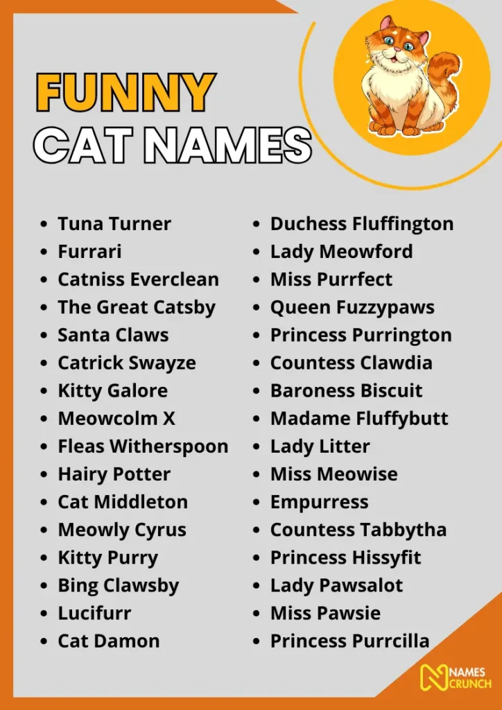 Funny Cat Names infographic