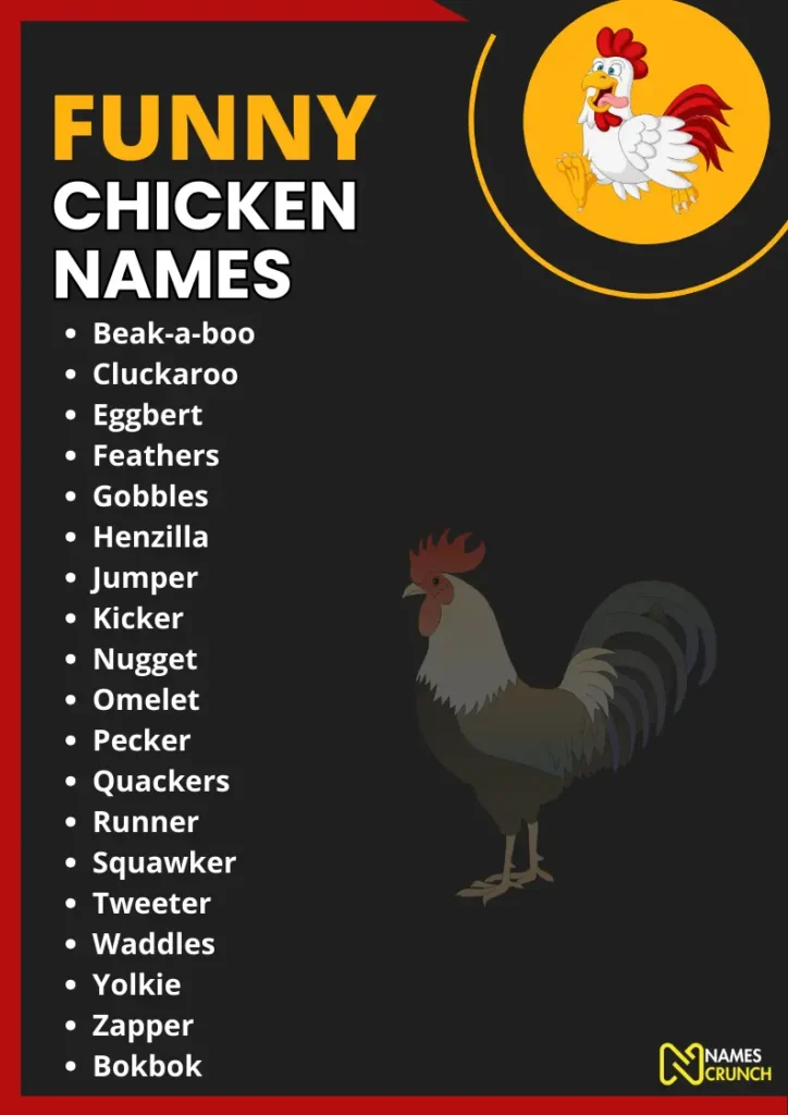 Funny Chicken Names infographic