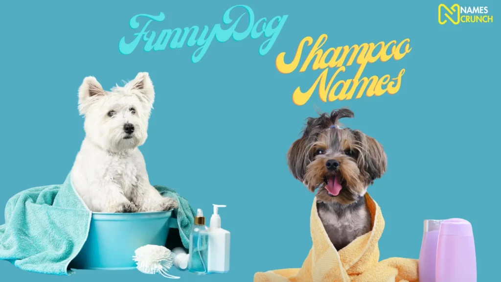 Funny Dog Shampoo Names