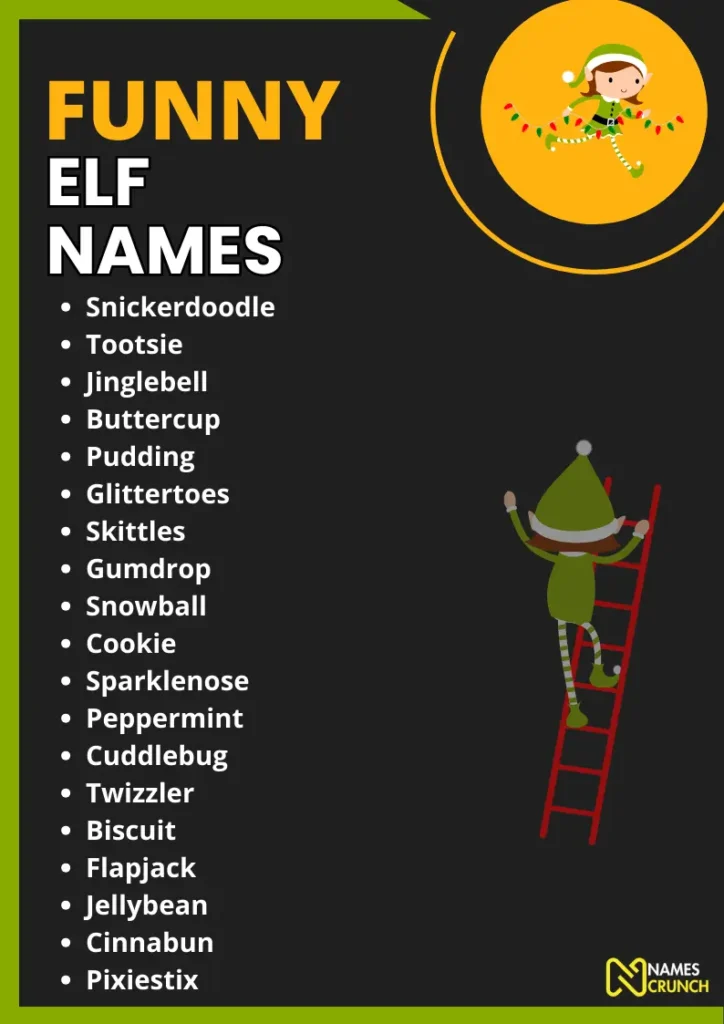 Funny Elf Names infographic