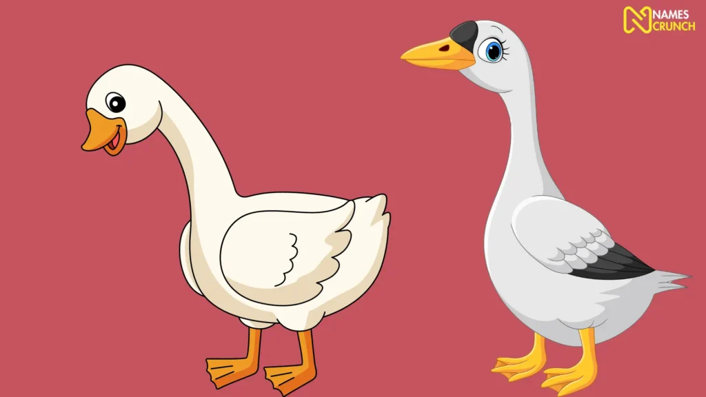 Funny Female Goose Names