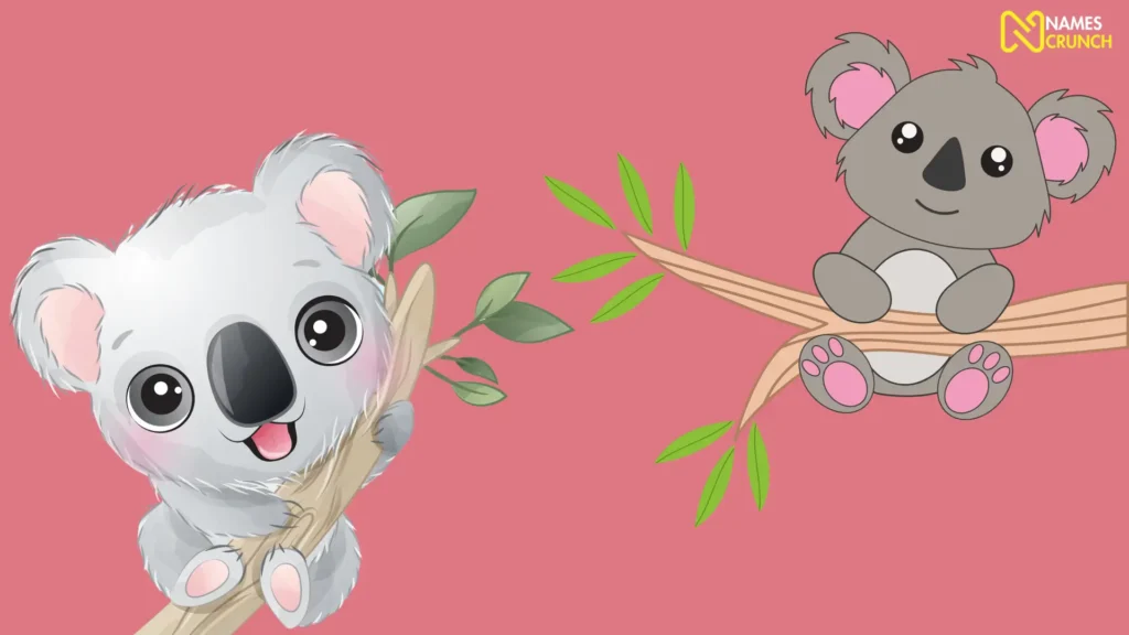 Funny Female Koala Names