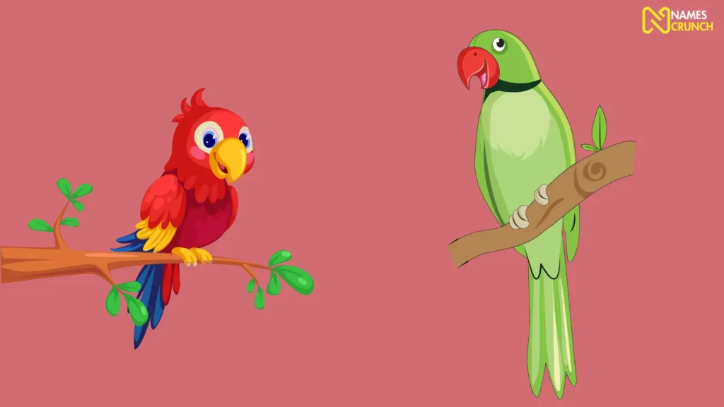 Funny Female Parrot Names