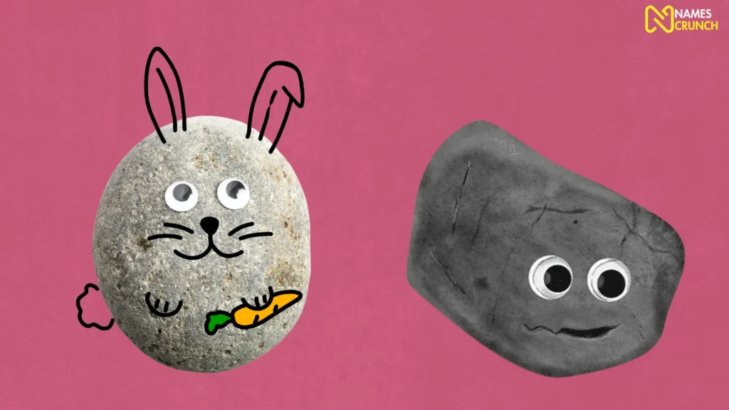 Funny Female Pet Rock Names