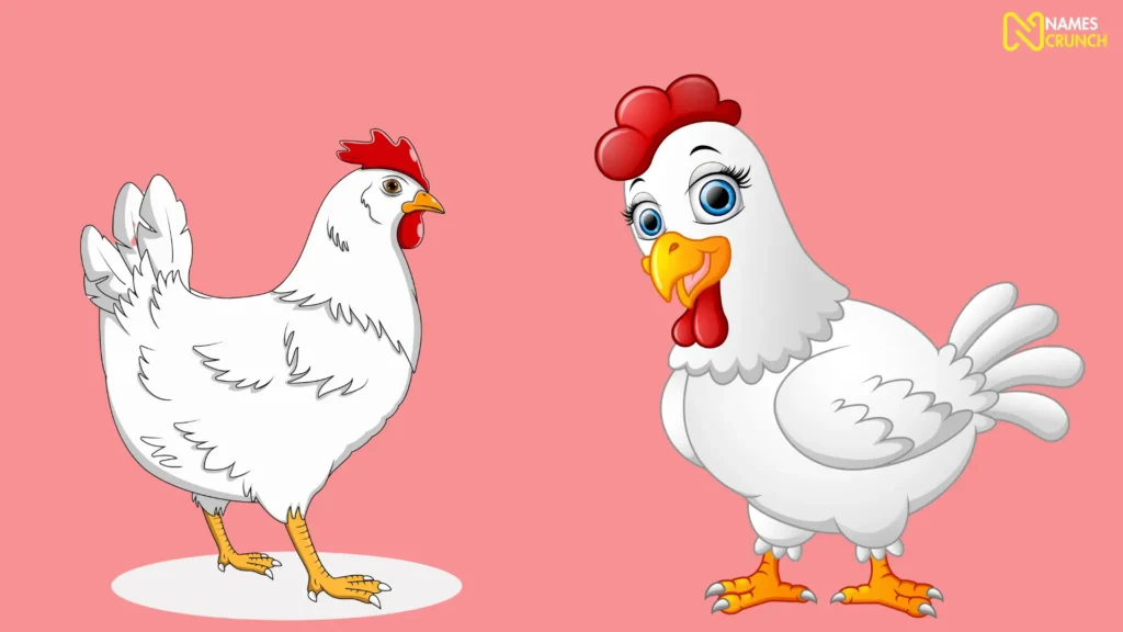 Funny Girl Chicken Names