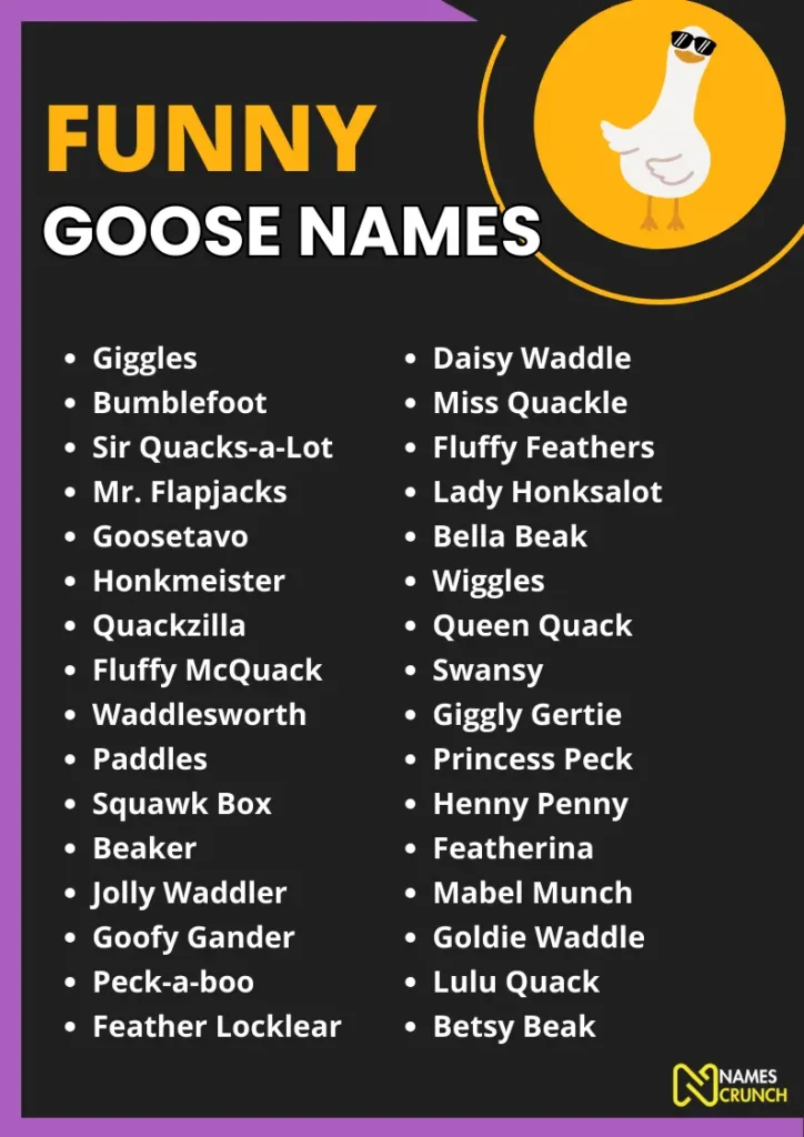 Funny Goose Names infographic