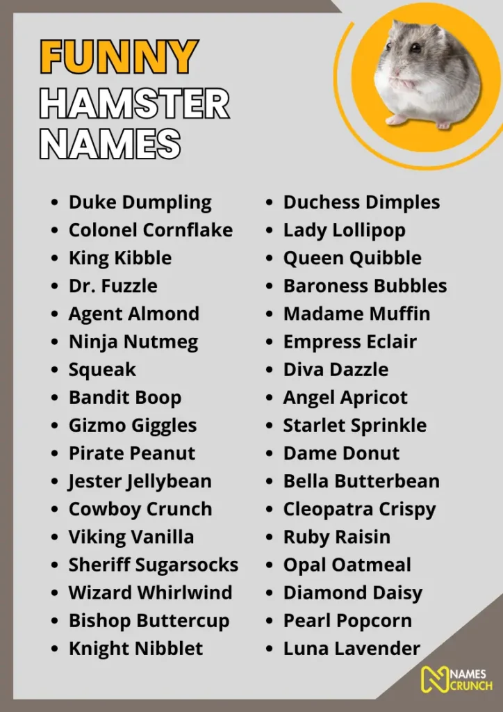 Funny Hamster Names infographic
