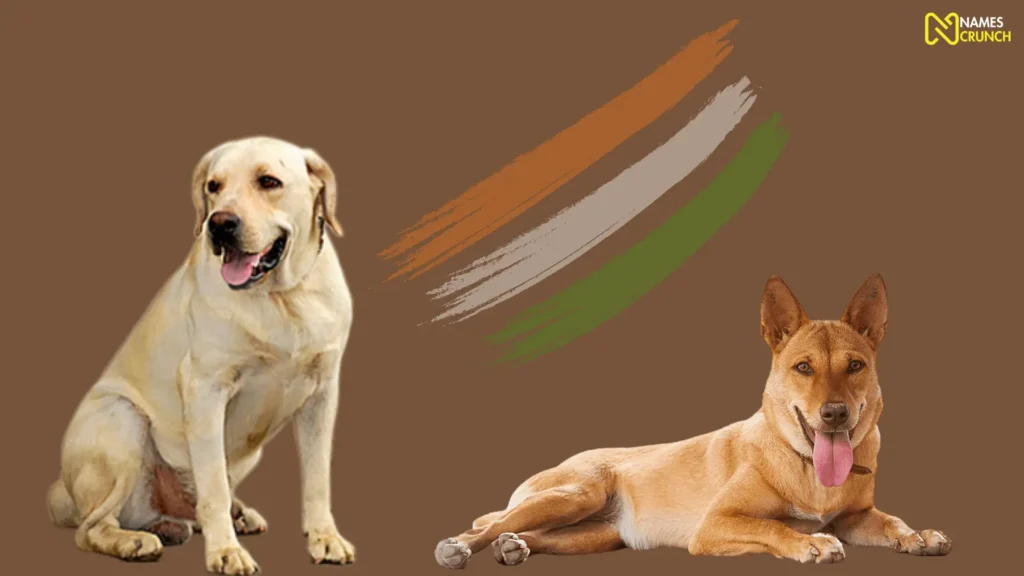 Funny Indian Dog Names
