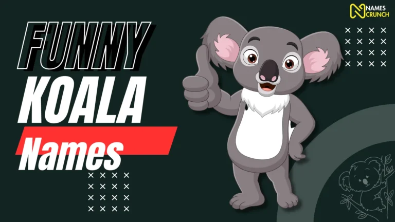 Funny Koala Names