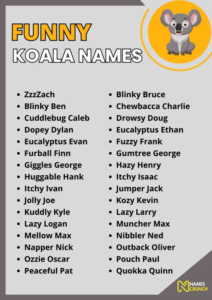 Funny Koala Names infographic