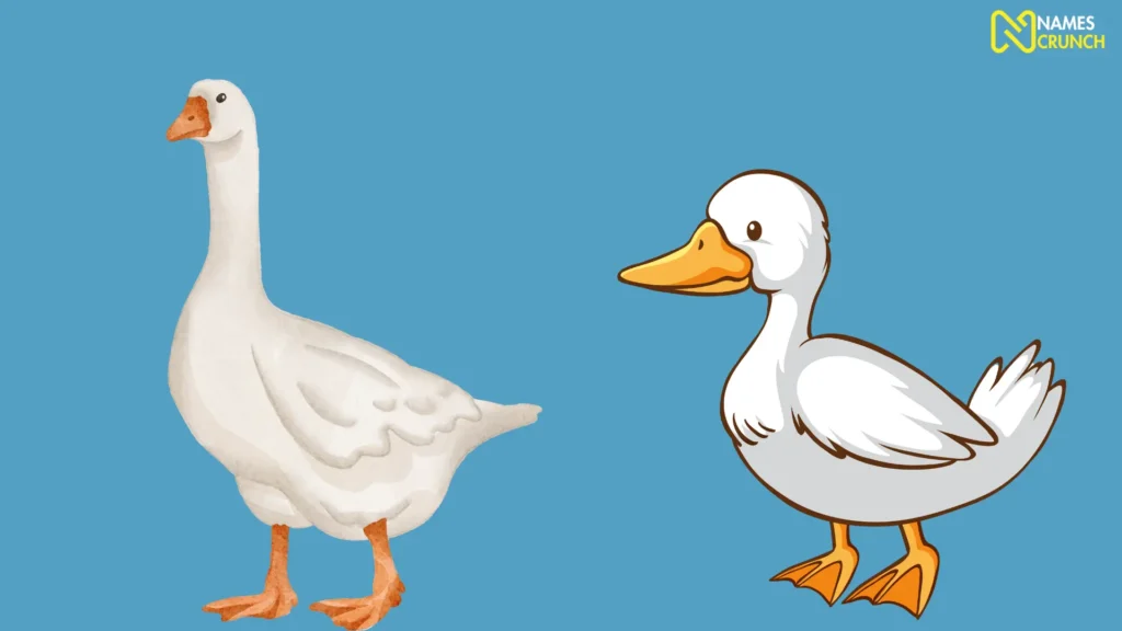Funny Male Goose Names
