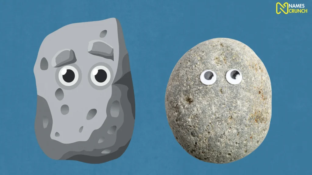 Funny Male Pet Rock Names