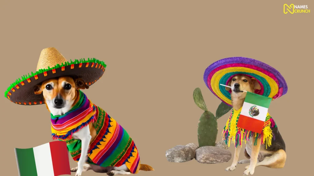 Funny Mexican Dog Names