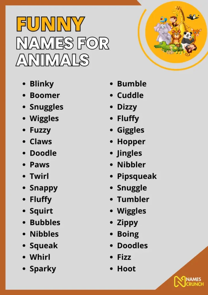 Funny Names for Animals infographic