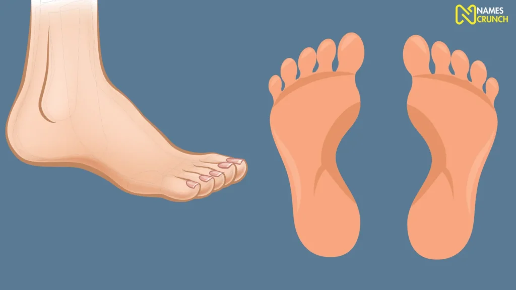 Funny Names for Big Feet