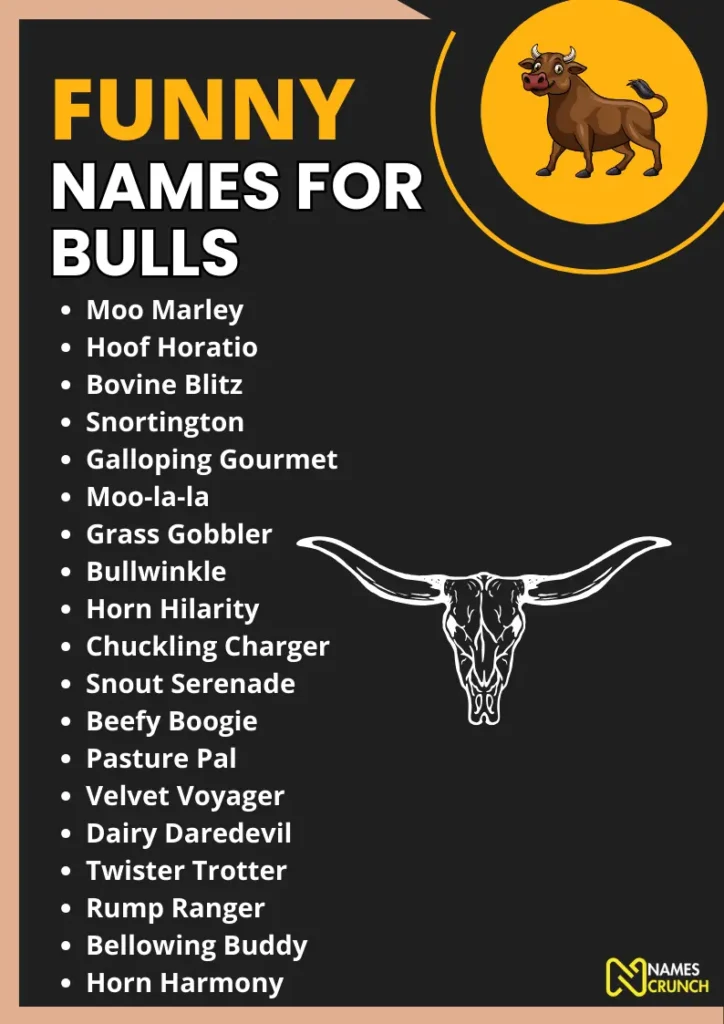 Funny Names for Bulls infographic