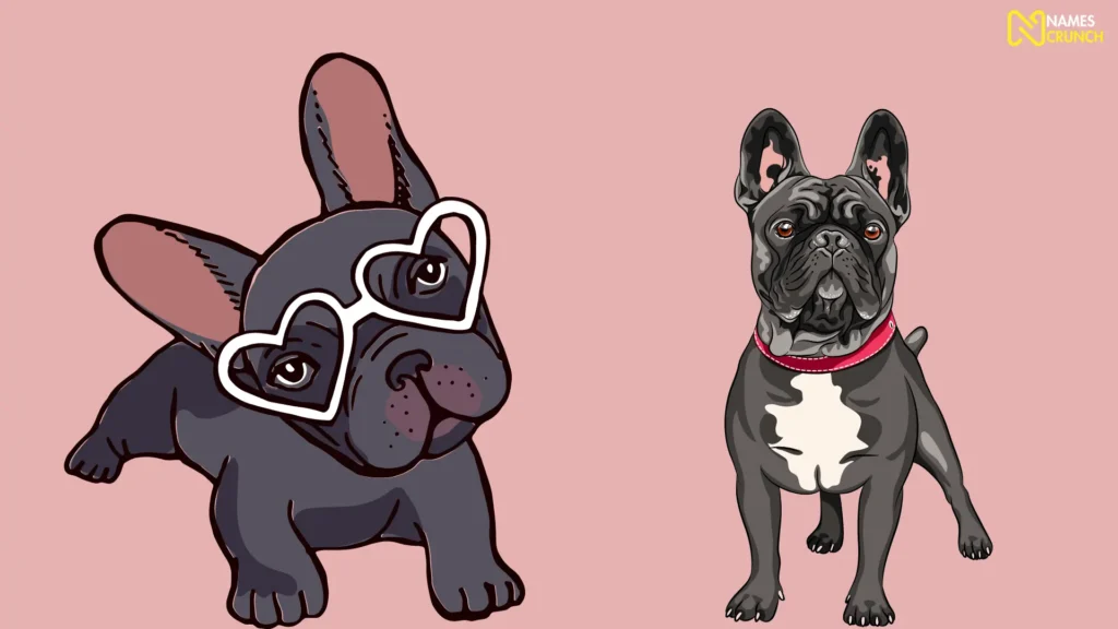 Funny Names for Female French Bulldogs