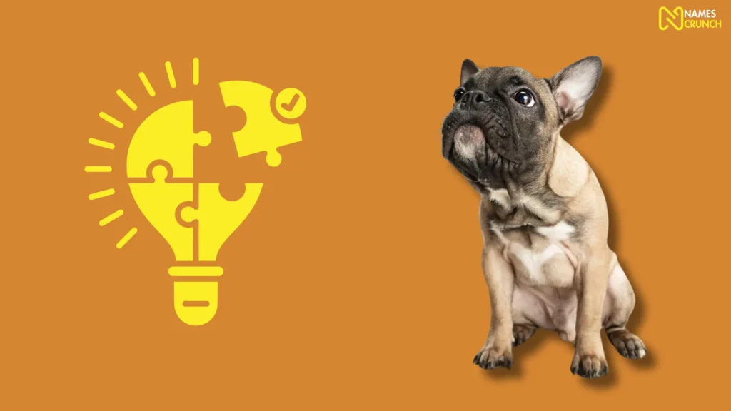 Funny Names for French Bulldogs Ideas List