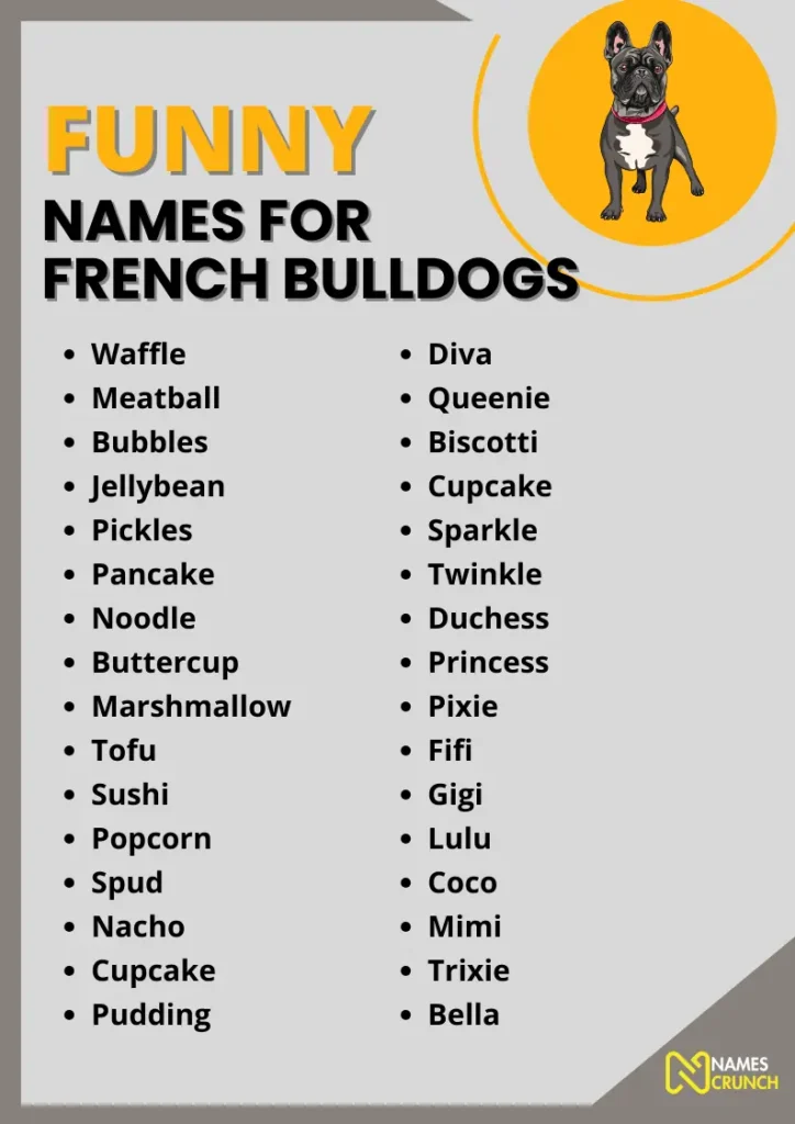 Funny Names for French Bulldogs infographic