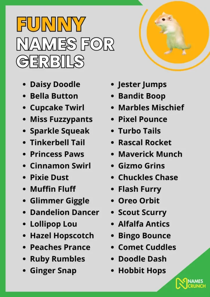 Funny Names for Gerbils infographic