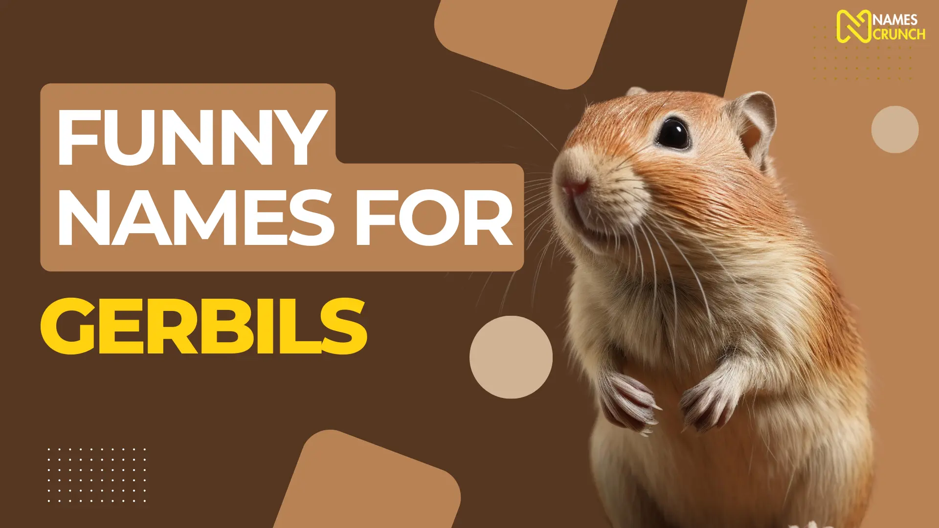 Funny Names for Gerbils