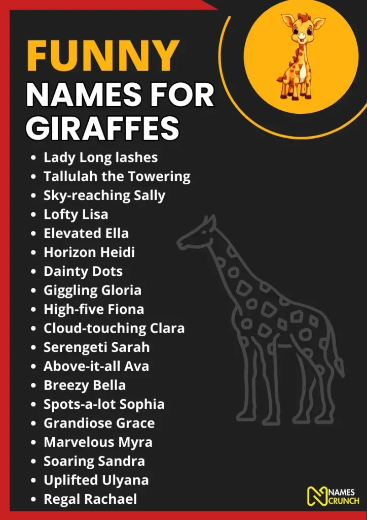 Funny Names for Giraffes infographic