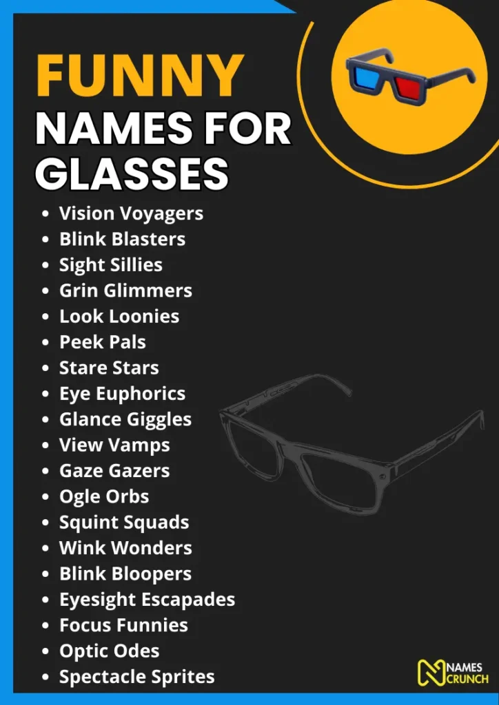 Funny Names for Glasses infographic