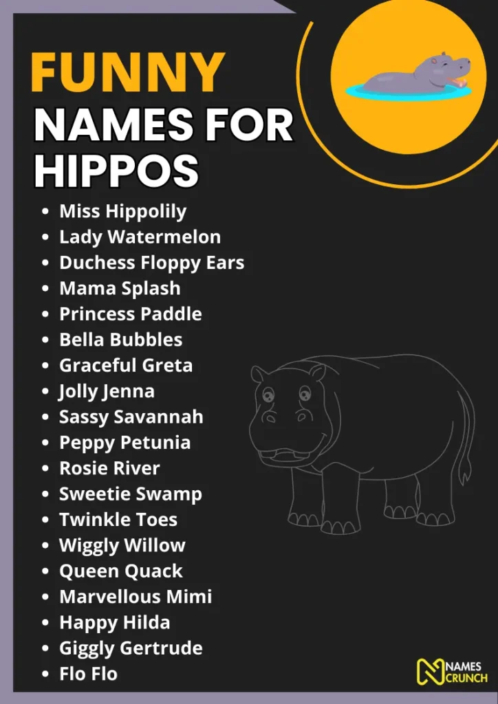Funny Names for Hippos infographic