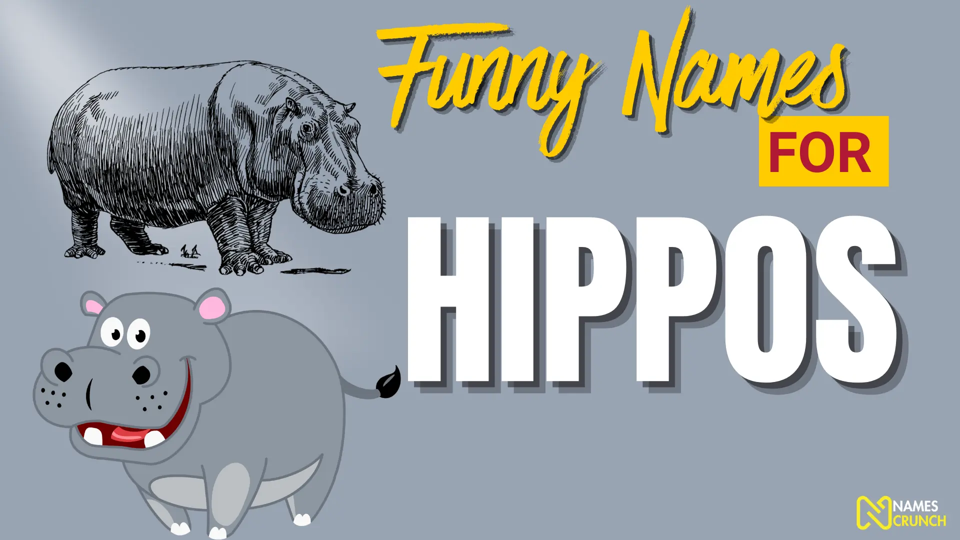 Funny Names for Hippos