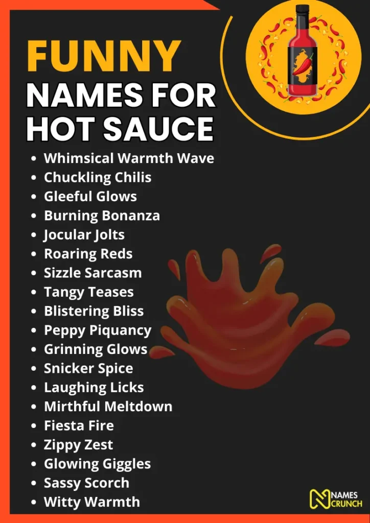 Funny Names for Hot Sauce infographic