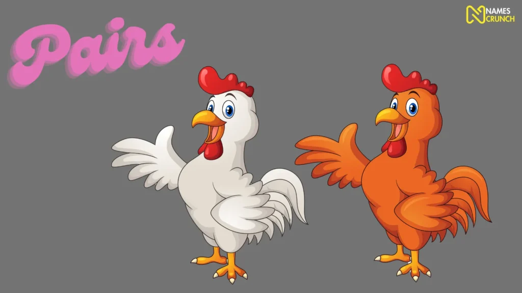Funny Names for Pairs of Chickens