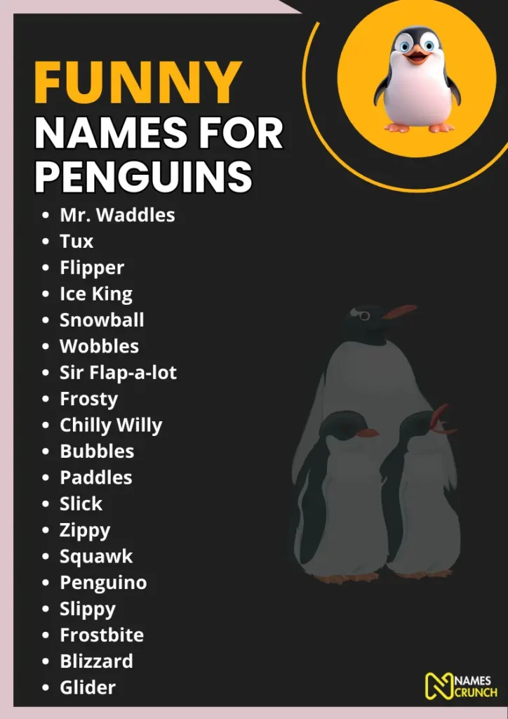 Funny Names for Penguins infographic