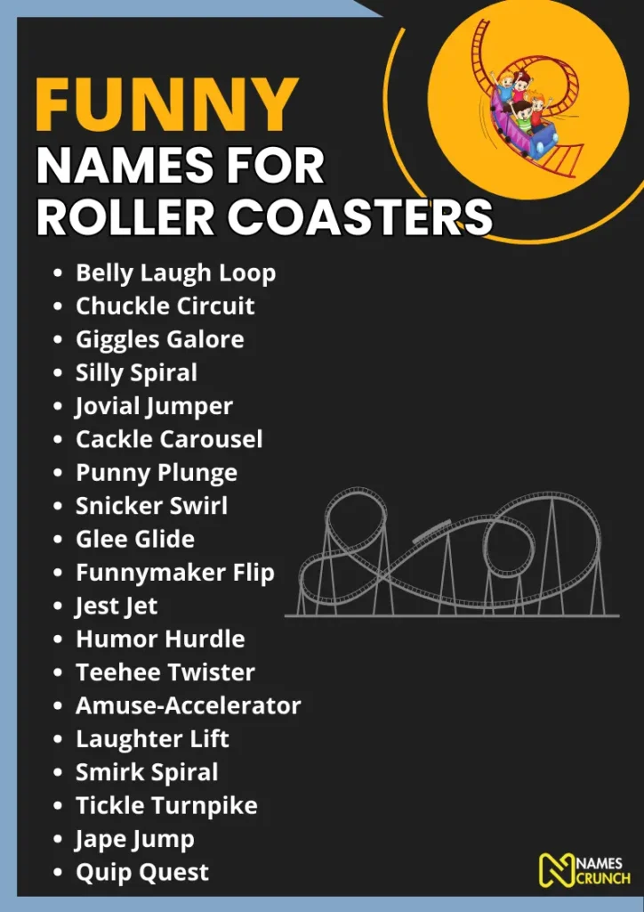 Funny Names for Roller Coasters infographic