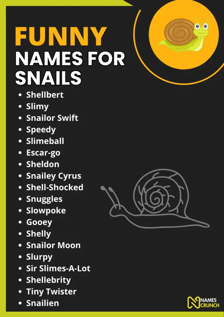 Funny Names for Snails infographic