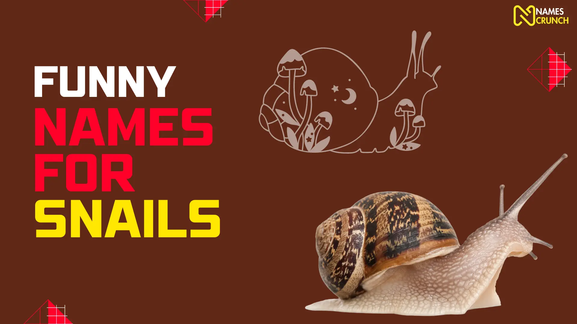 Funny Names for Snails