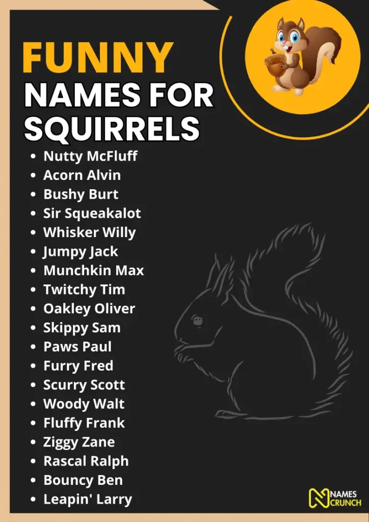 Funny Names for Squirrels infographic
