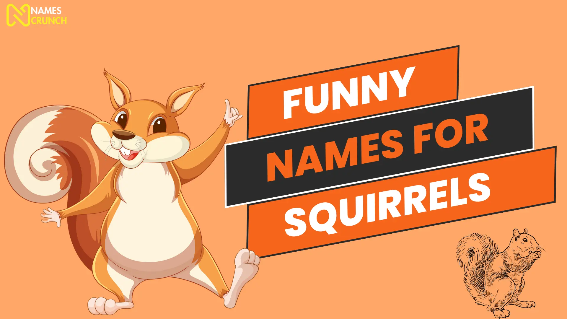 Funny Names for Squirrels