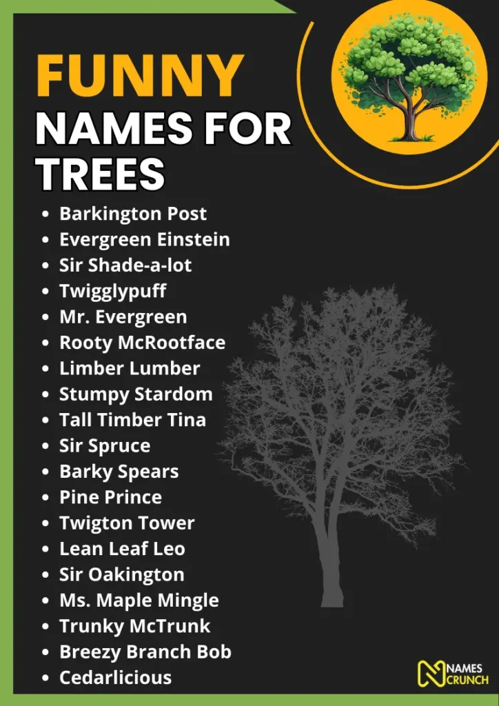 Funny Names for Trees infographic