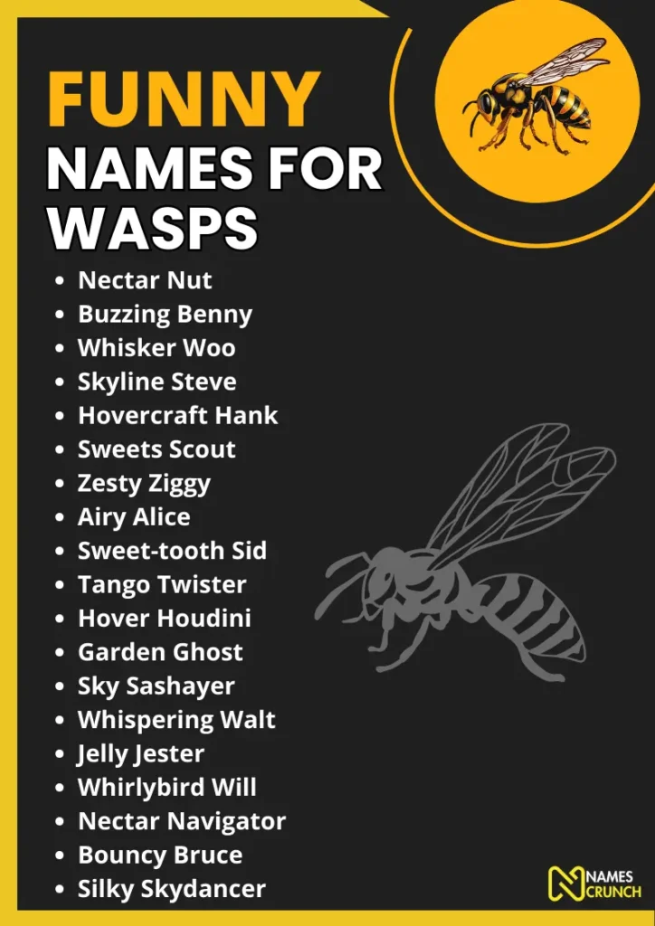 Funny Names for Wasps infographic