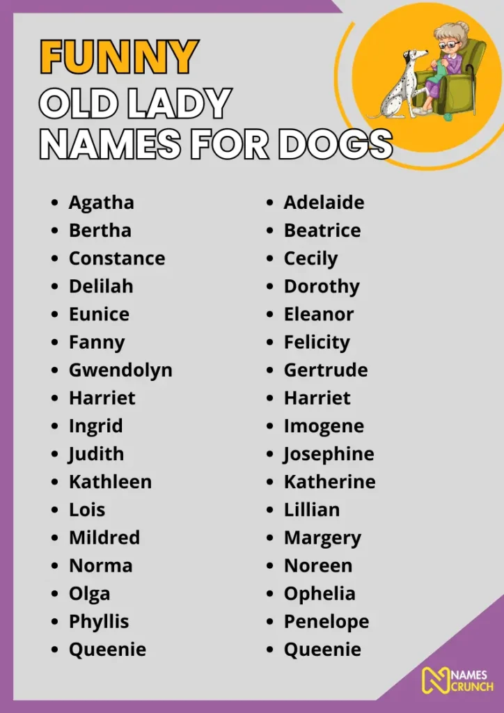 Funny Old Lady Names for Dogs infographic