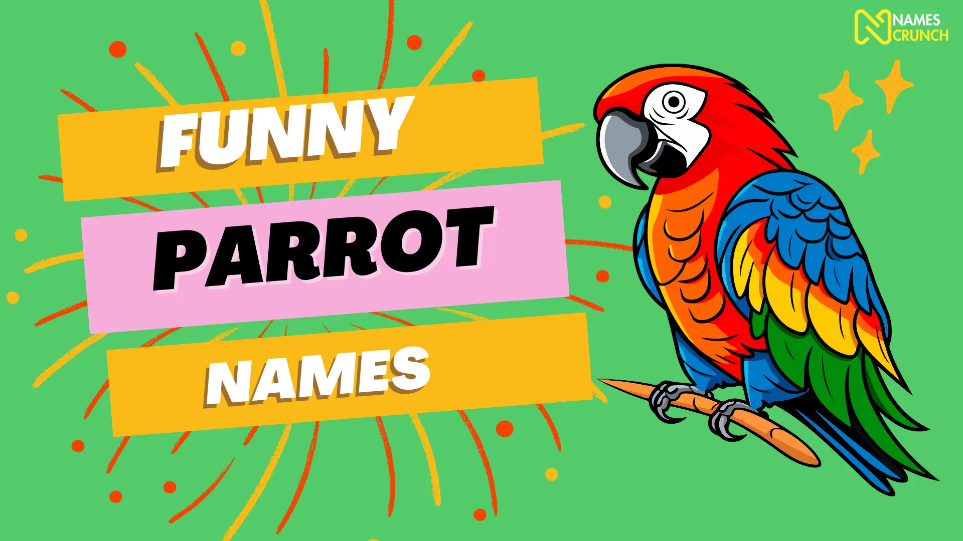 Funny Parrot Names