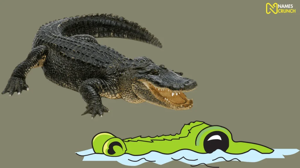 Funny Pet Alligator Names