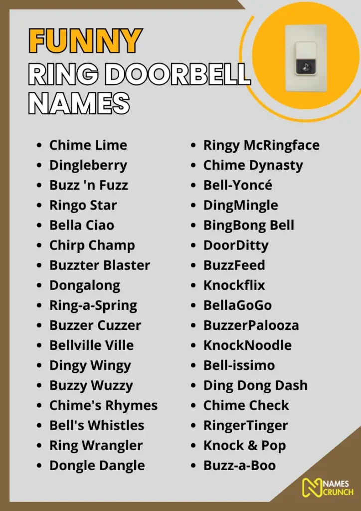 Funny Ring Doorbell Names infographic