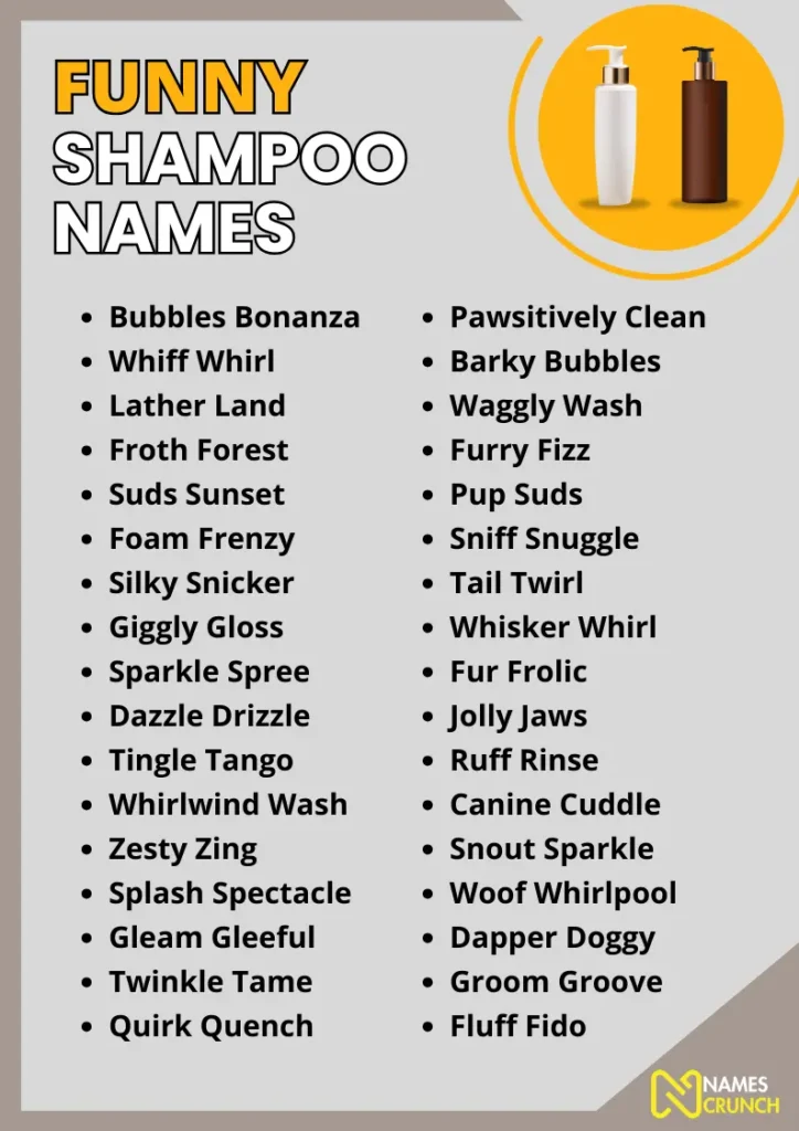 Funny Shampoo Names infographic