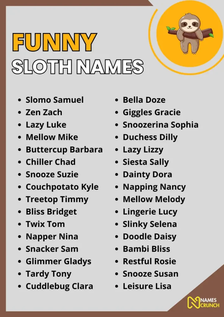 Funny Sloth Names infographic
