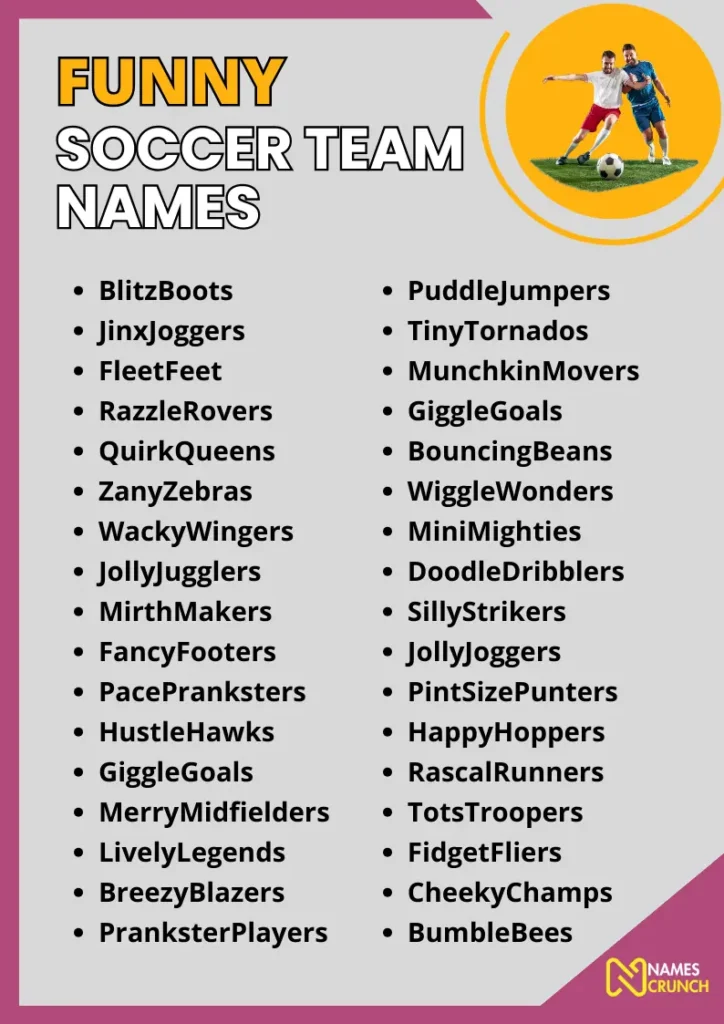 Funny Soccer Team Names infographic