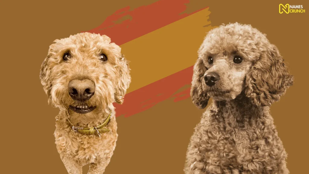 Funny Spanish Dog Names