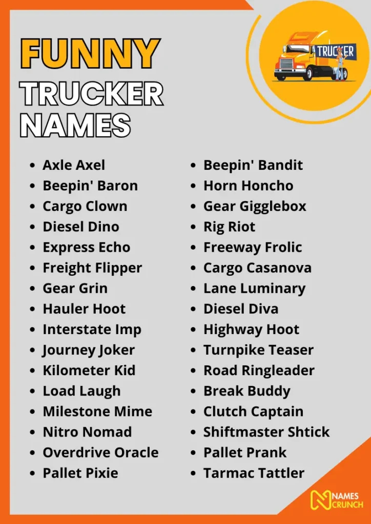 Funny Trucker Names infographic