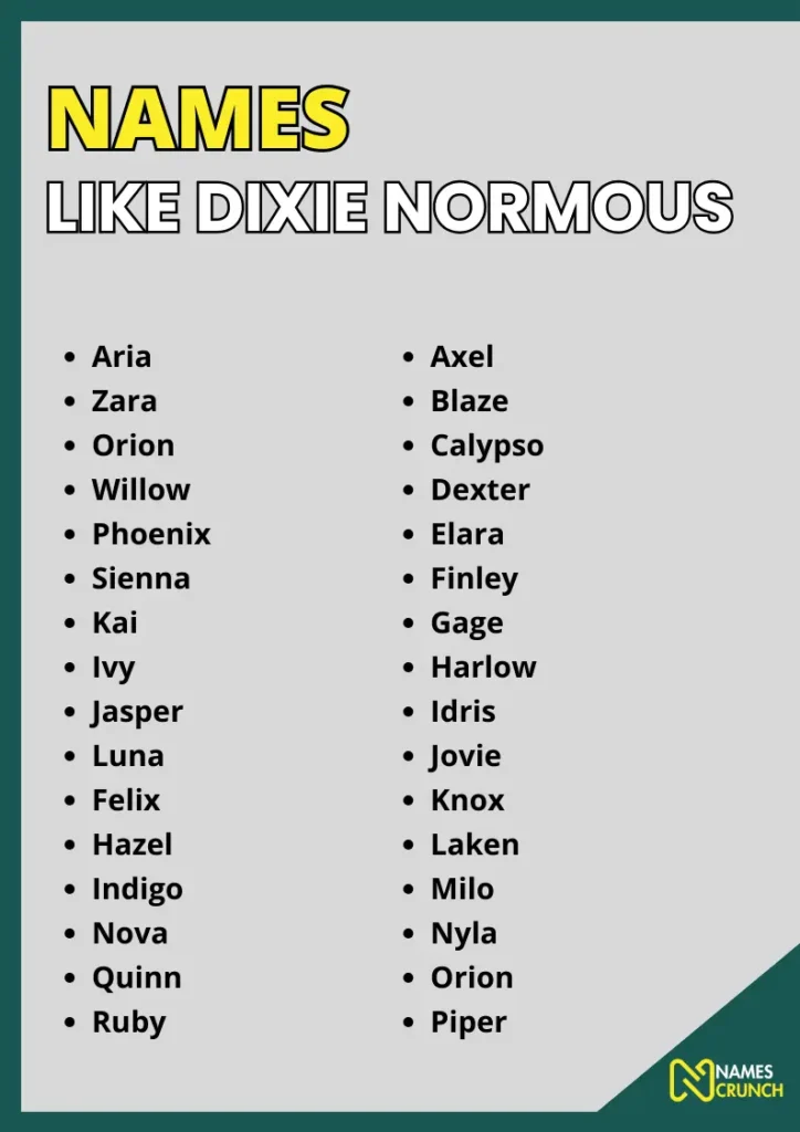 Names Like Dixie Normous infographic