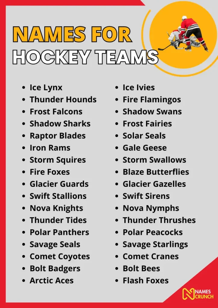 Names for Hockey Teams infographic